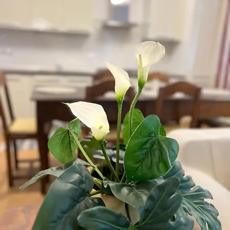 Loft With Private Parking * Trieste